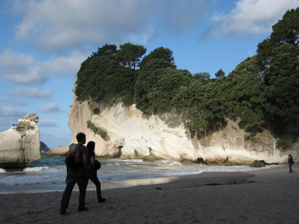 Cathedral Cove Apartment هاهي الغرفة الصورة
